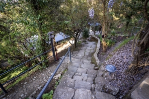 Avenida Himalayan Retreat